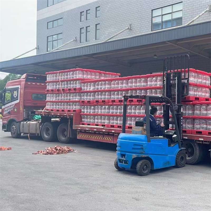东安区雨城区物流：多元服务与高效运输线路探秘